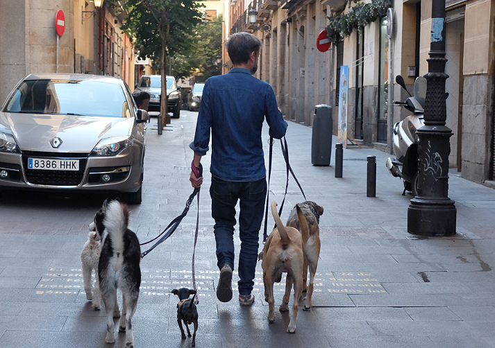 Dog walking Barrio de Letras